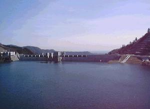 �_������