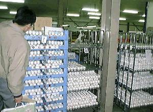 �{���Z���^�[(2)