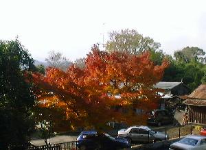 �^�C�g���C���[�W