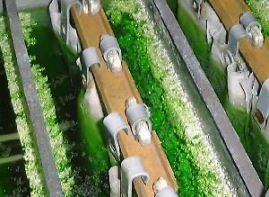 �d�C����(1)