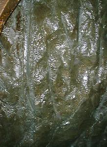 ��[�x�n���{��(7)